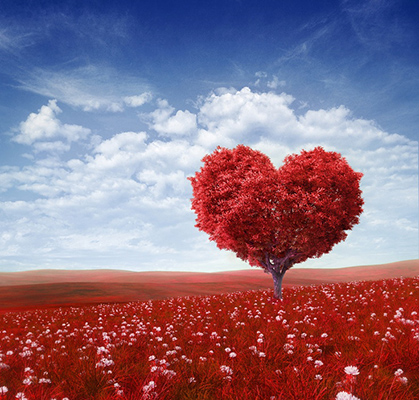 Immagine cuore